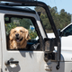 Image for article titled Here's What Stood Out at a Gathering of Extreme Overland Camping Vehicles